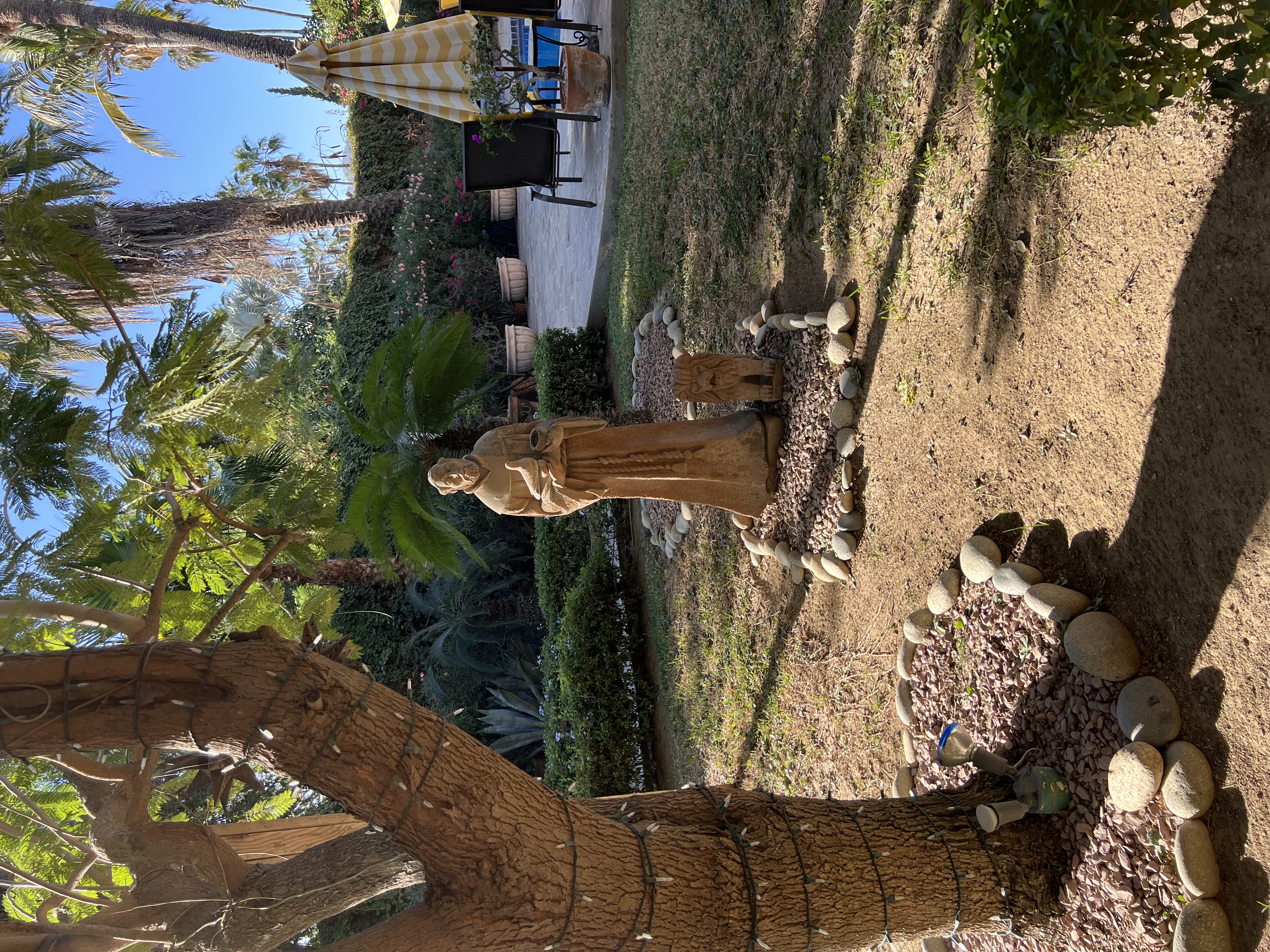 ./2024/13 - Cabo/IMG_4546.jpg